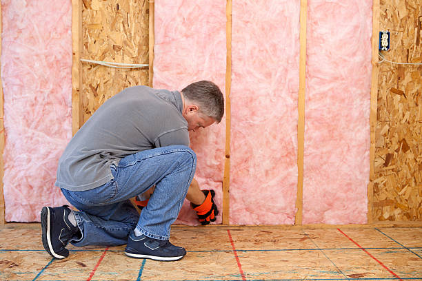 Insulation Contractors for Homes in Escatawpa, MS